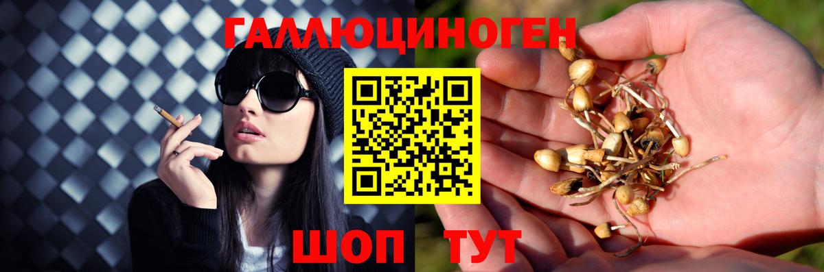 Псилоцибиновые грибы Magic Shrooms  Вход с VPN  Нижнеудинск 